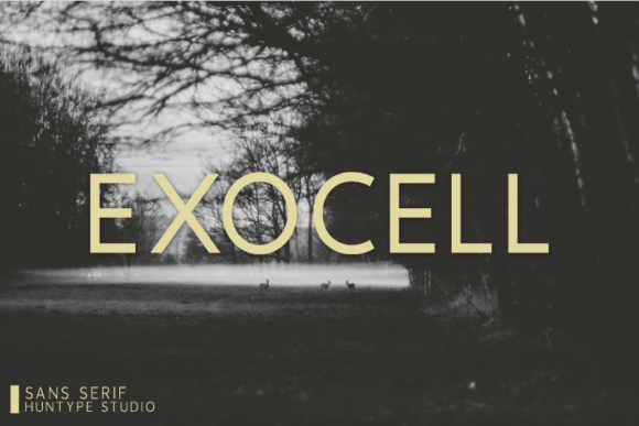 Exocell: A Clean Font for Business Success