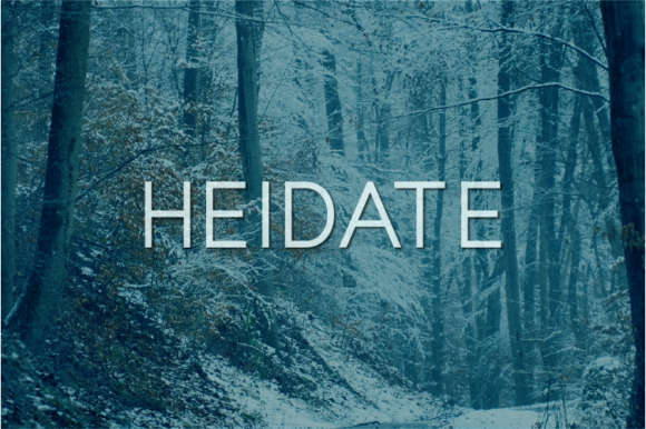 Heidate: A Modern Sans Serif Review