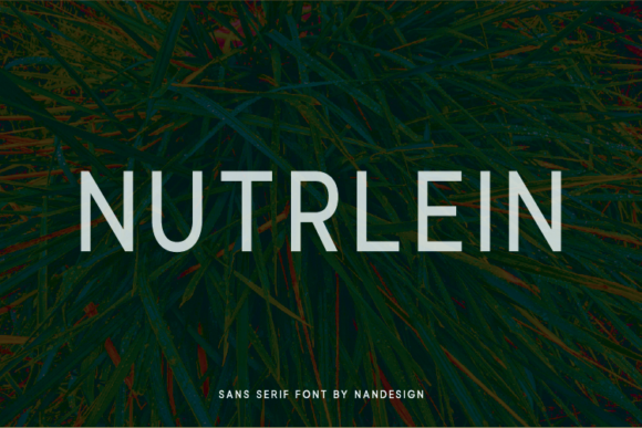 Nutrlein: A Modern Sans Serif Review