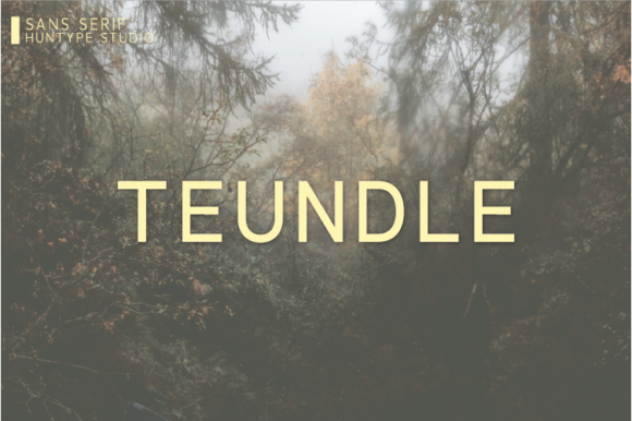 Teundle: A Stylish Sans Serif