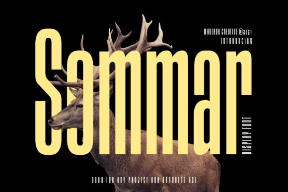Upgrade Your Brand With Sommar
