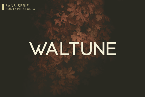 Waltune: A Modern Sans Serif for Web Design
