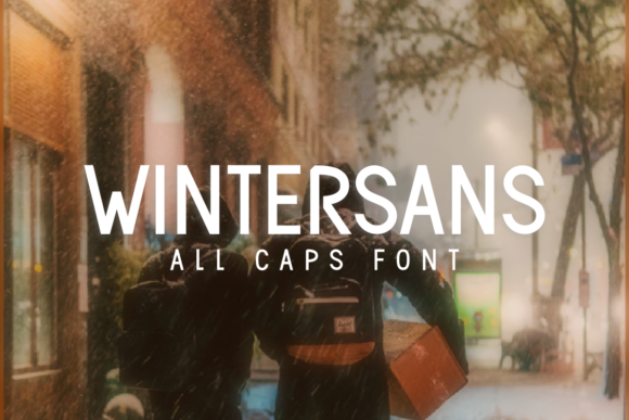 Wintersans: A Timeless Sans Serif for Business Branding